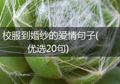 校服到婚纱的爱情句子(优选20句)
