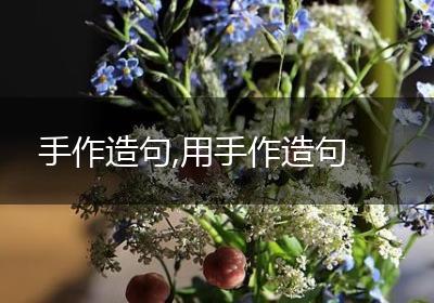 手作造句,用手作造句