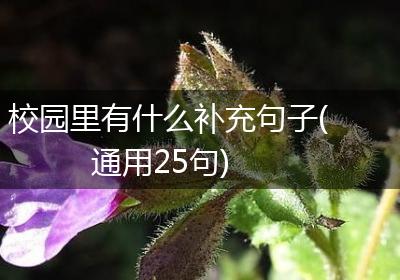 校园里有什么补充句子(通用25句)