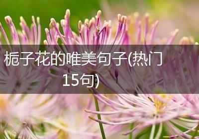 栀子花的唯美句子(热门15句)
