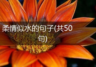 柔情似水的句子(共50句)