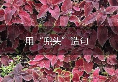 用“兜头”造句