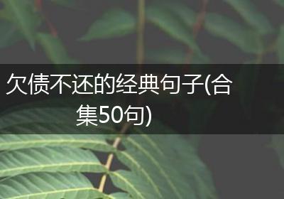 欠债不还的经典句子(合集50句)