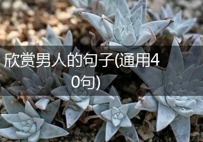 欣赏男人的句子(通用40句)