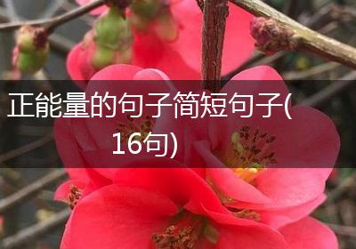 正能量的句子简短句子(16句)