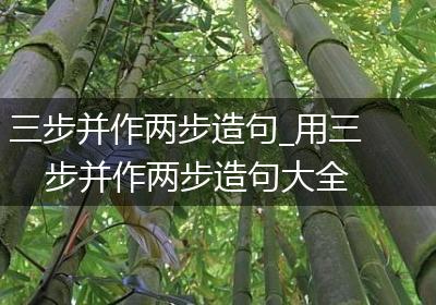三步并作两步造句_用三步并作两步造句大全