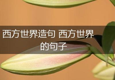 西方世界造句 西方世界的句子
