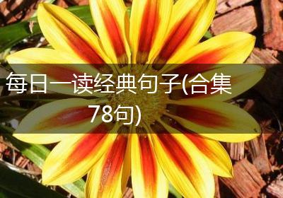 每日一读经典句子(合集78句)
