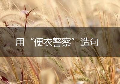 用“便衣警察”造句