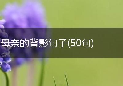 母亲的背影句子(50句)
