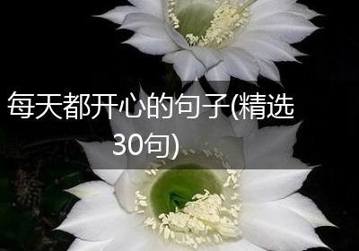 每天都开心的句子(精选30句)