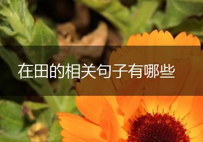 在田的相关句子有哪些