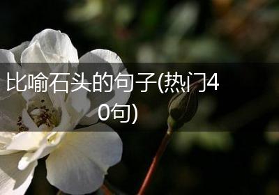 比喻石头的句子(热门40句)
