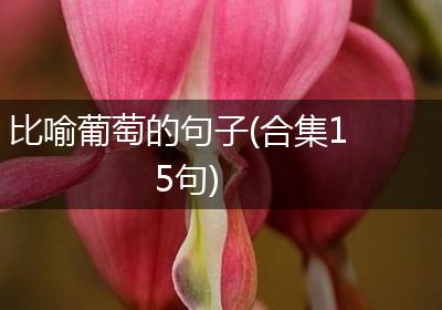 比喻葡萄的句子(合集15句)