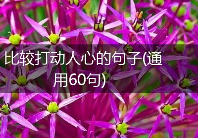 比较打动人心的句子(通用60句)