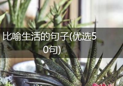 比喻生活的句子(优选50句)