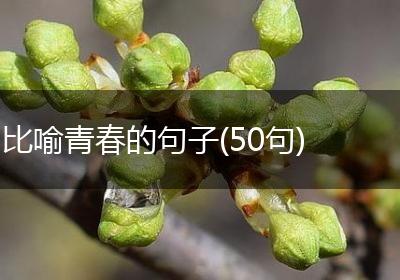 比喻青春的句子(50句)