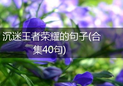 沉迷王者荣耀的句子(合集40句)