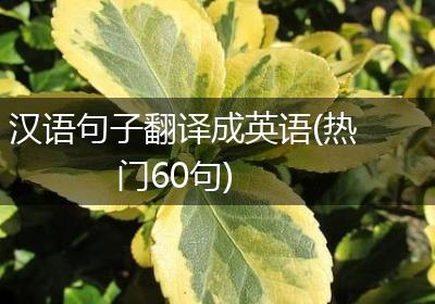 汉语句子翻译成英语(热门60句)