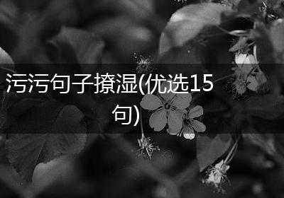 污污句子撩湿(优选15句)