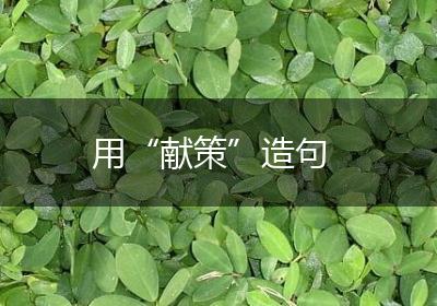 用“献策”造句