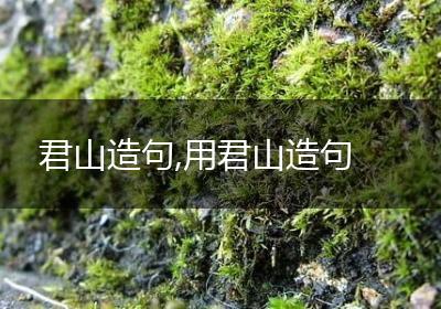君山造句,用君山造句