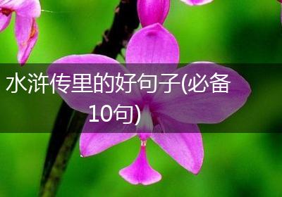 水浒传里的好句子(必备10句)