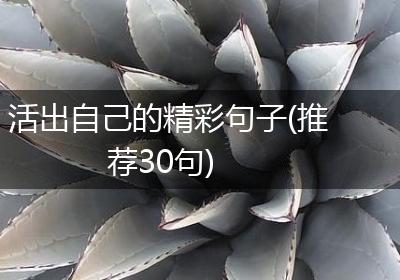 活出自己的精彩句子(推荐30句)