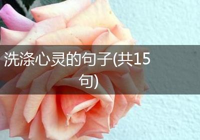 洗涤心灵的句子(共15句)