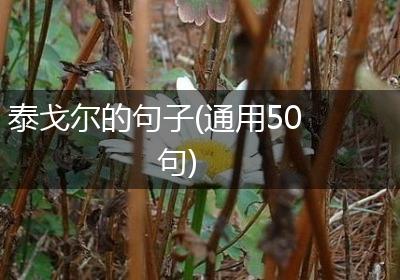泰戈尔的句子(通用50句)