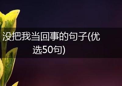 没把我当回事的句子(优选50句)