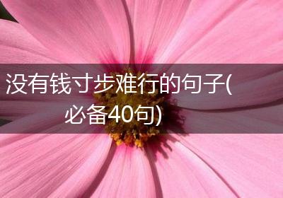 没有钱寸步难行的句子(必备40句)