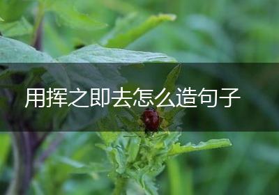 用挥之即去怎么造句子
