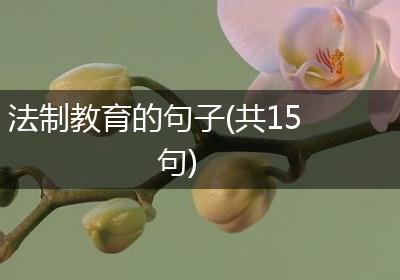法制教育的句子(共15句)