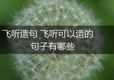 飞听造句 飞听可以造的句子有哪些