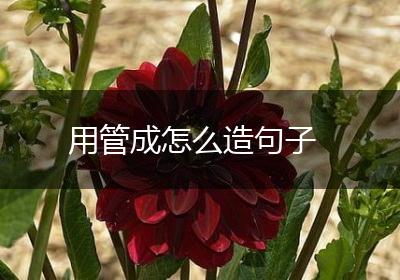 用管成怎么造句子