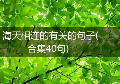 海天相连的有关的句子(合集40句)