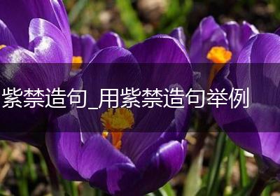 紫禁造句_用紫禁造句举例