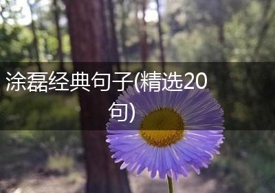 涂磊经典句子(精选20句)
