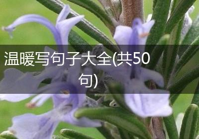 温暖写句子大全(共50句)