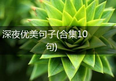 深夜优美句子(合集10句)