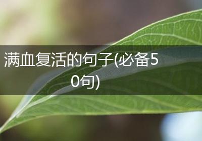 满血复活的句子(必备50句)
