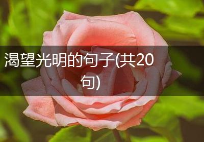 渴望光明的句子(共20句)