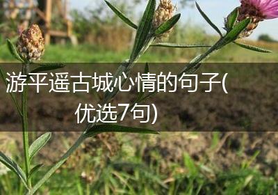 游平遥古城心情的句子(优选7句)