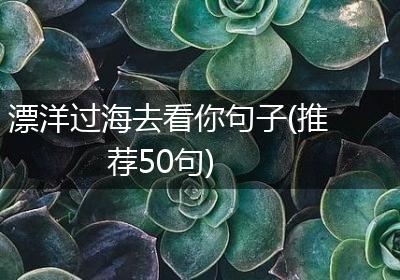 漂洋过海去看你句子(推荐50句)