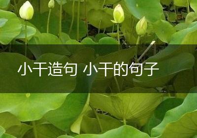 小干造句 小干的句子