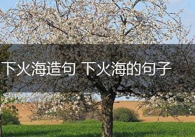 下火海造句 下火海的句子