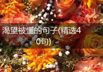 渴望被懂的句子(精选40句)