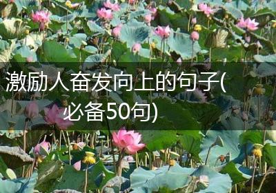 激励人奋发向上的句子(必备50句)