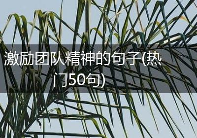 激励团队精神的句子(热门50句)